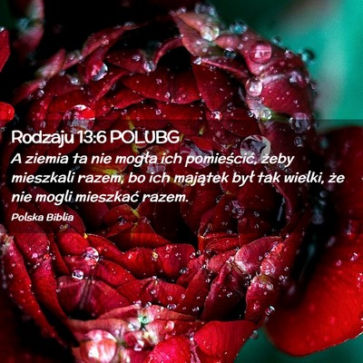 Picture 02 - Rodzaju 13:6 POLUBG - A ziemia ta nie mogła ich pomieścić, żeby - Bible Verse Picture