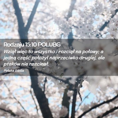 Picture 02 - Rodzaju 15:10 POLUBG - Wziął więc to wszystko i rozciął na połowy; - Bible Verse Picture