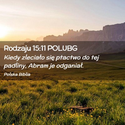 Picture 02 - Rodzaju 15:11 POLUBG - Kiedy zleciało się ptactwo do tej padliny, - Bible Verse Picture
