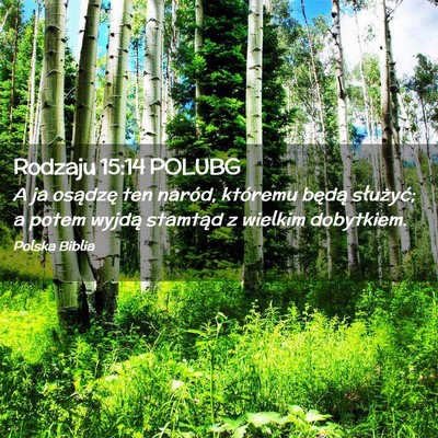 Picture 02 - Rodzaju 15:14 POLUBG - A ja osądzę ten naród, któremu będą - Bible Verse Picture