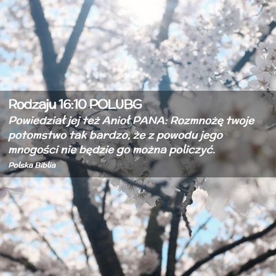 Picture 02 - Rodzaju 16:10 POLUBG - Powiedział jej też Anioł PANA: Rozmnożę - Bible Verse Picture