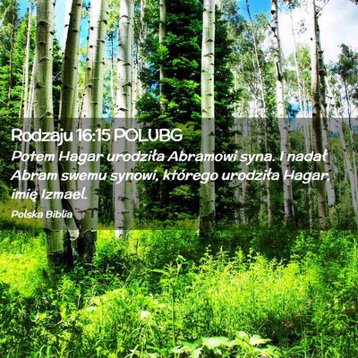 Picture 02 - Rodzaju 16:15 POLUBG - Potem Hagar urodziła Abramowi syna. I nadał - Bible Verse Picture