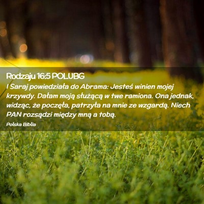 Picture 02 - Rodzaju 16:5 POLUBG - I Saraj powiedziała do Abrama: Jesteś winien - Bible Verse Picture