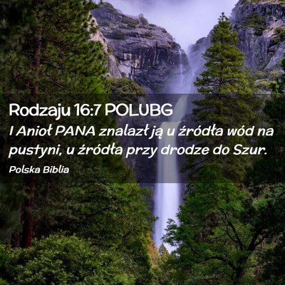 Picture 02 - Rodzaju 16:7 POLUBG - I Anioł PANA znalazł ją u źródła wód na - Bible Verse Picture