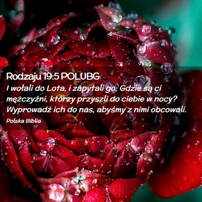Picture 02 - Rodzaju 19:5 POLUBG - I wołali do Lota, i zapytali go: Gdzie są ci - Bible Verse Picture