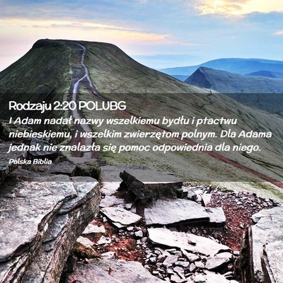 Picture 02 - Rodzaju 2:20 POLUBG - I Adam nadał nazwy wszelkiemu bydłu i ptactwu - Bible Verse Picture