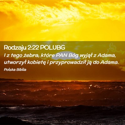 Picture 02 - Rodzaju 2:22 POLUBG - I z tego żebra, które PAN Bóg wyjął z Adama, - Bible Verse Picture