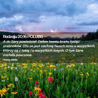 Picture 02 - Rodzaju 20:16 POLUBG - A do Sary powiedział: Dałem twemu bratu tysiąc - Bible Verse Picture