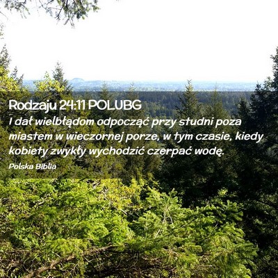 Picture 02 - Rodzaju 24:11 POLUBG - I dał wielbłądom odpocząć przy studni poza - Bible Verse Picture