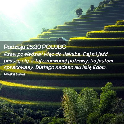 Picture 02 - Rodzaju 25:30 POLUBG - Ezaw powiedział więc do Jakuba: Daj mi jeść, - Bible Verse Picture
