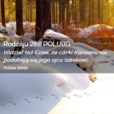 Picture 02 - Rodzaju 28:8 POLUBG - Widział też Ezaw, że córki Kanaanu nie - Bible Verse Picture
