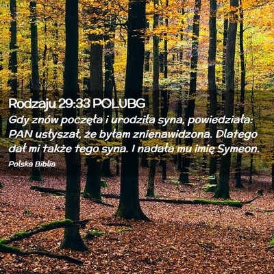 Picture 02 - Rodzaju 29:33 POLUBG - Gdy znów poczęła i urodziła syna, - Bible Verse Picture