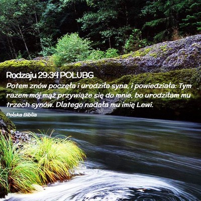 Picture 02 - Rodzaju 29:34 POLUBG - Potem znów poczęła i urodziła syna, i - Bible Verse Picture