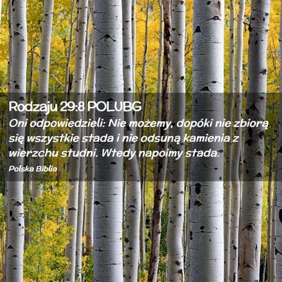 Picture 02 - Rodzaju 29:8 POLUBG - Oni odpowiedzieli: Nie możemy, dopóki nie - Bible Verse Picture