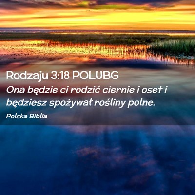 Picture 02 - Rodzaju 3:18 POLUBG - Ona będzie ci rodzić ciernie i oset i będziesz - Bible Verse Picture