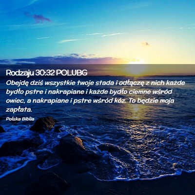 Picture 02 - Rodzaju 30:32 POLUBG - Obejdę dziś wszystkie twoje stada i odłączę - Bible Verse Picture