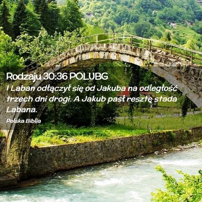 Picture 02 - Rodzaju 30:36 POLUBG - I Laban odłączył się od Jakuba na - Bible Verse Picture