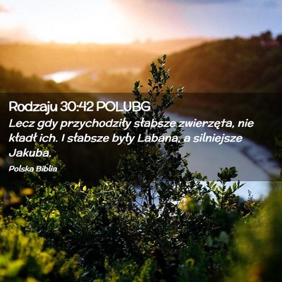 Picture 02 - Rodzaju 30:42 POLUBG - Lecz gdy przychodziły słabsze zwierzęta, nie - Bible Verse Picture