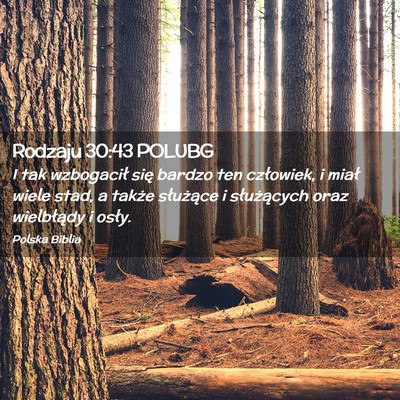 Picture 02 - Rodzaju 30:43 POLUBG - I tak wzbogacił się bardzo ten człowiek, i - Bible Verse Picture