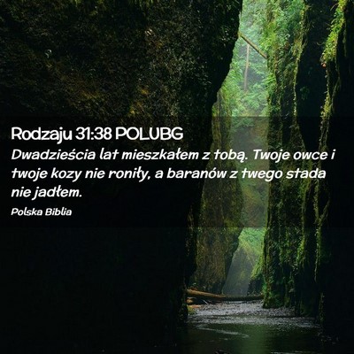 Picture 02 - Rodzaju 31:38 POLUBG - Dwadzieścia lat mieszkałem z tobą. Twoje owce - Bible Verse Picture