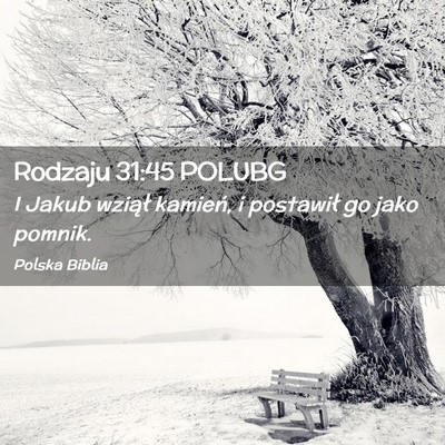 Picture 02 - Rodzaju 31:45 POLUBG - I Jakub wziął kamień, i postawił go jako - Bible Verse Picture