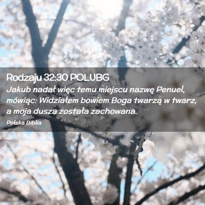 Picture 02 - Rodzaju 32:30 POLUBG - Jakub nadał więc temu miejscu nazwę Penuel, - Bible Verse Picture