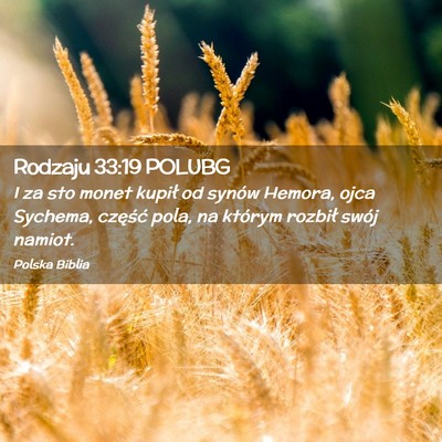 Picture 02 - Rodzaju 33:19 POLUBG - I za sto monet kupił od synów Hemora, ojca - Bible Verse Picture