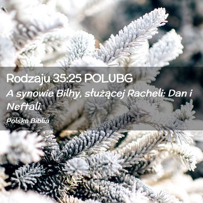 Picture 02 - Rodzaju 35:25 POLUBG - A synowie Bilhy, służącej Racheli: Dan i - Bible Verse Picture