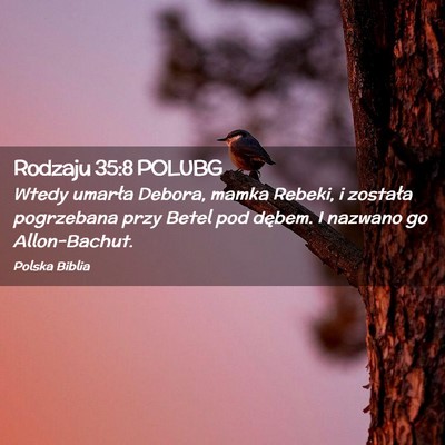 Picture 02 - Rodzaju 35:8 POLUBG - Wtedy umarła Debora, mamka Rebeki, i została - Bible Verse Picture
