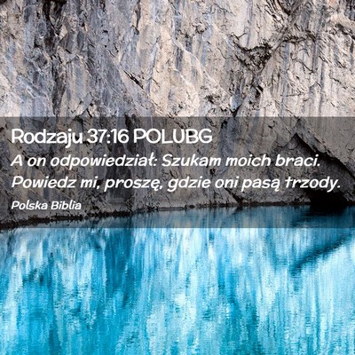 Picture 02 - Rodzaju 37:16 POLUBG - A on odpowiedział: Szukam moich braci. Powiedz - Bible Verse Picture