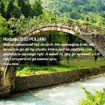 Picture 02 - Rodzaju 37:22 POLUBG - Ruben powiedział też do nich: Nie wylewajcie - Bible Verse Picture