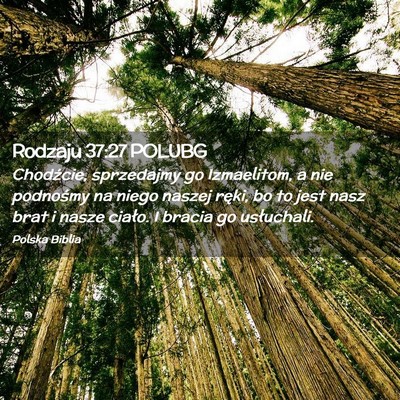 Picture 02 - Rodzaju 37:27 POLUBG - Chodźcie, sprzedajmy go Izmaelitom, a nie - Bible Verse Picture