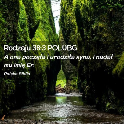 Picture 02 - Rodzaju 38:3 POLUBG - A ona poczęła i urodziła syna, i nadał mu - Bible Verse Picture