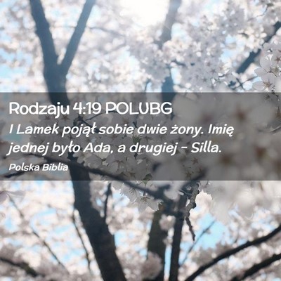 Picture 02 - Rodzaju 4:19 POLUBG - I Lamek pojął sobie dwie żony. Imię jednej - Bible Verse Picture