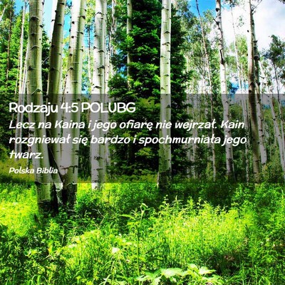 Picture 02 - Rodzaju 4:5 POLUBG - Lecz na Kaina i jego ofiarę nie wejrzał. Kain - Bible Verse Picture