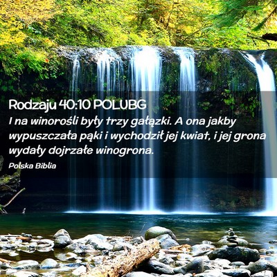 Picture 02 - Rodzaju 40:10 POLUBG - I na winorośli były trzy gałązki. A ona jakby - Bible Verse Picture