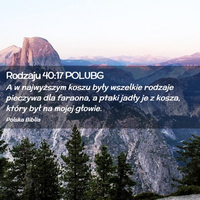 Picture 02 - Rodzaju 40:17 POLUBG - A w najwyższym koszu były wszelkie rodzaje - Bible Verse Picture