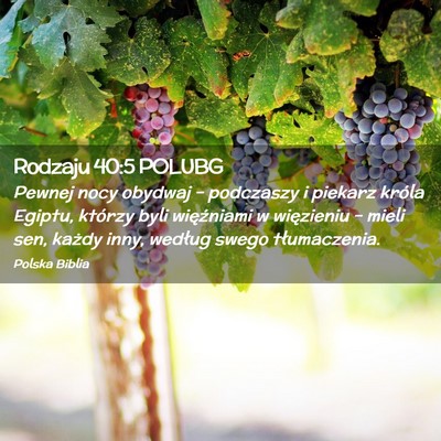 Picture 02 - Rodzaju 40:5 POLUBG - Pewnej nocy obydwaj – podczaszy i piekarz - Bible Verse Picture