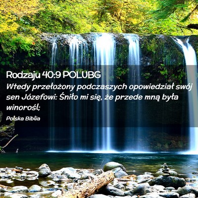 Picture 02 - Rodzaju 40:9 POLUBG - Wtedy przełożony podczaszych opowiedział swój - Bible Verse Picture