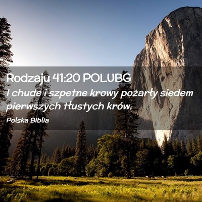 Picture 02 - Rodzaju 41:20 POLUBG - I chude i szpetne krowy pożarły siedem - Bible Verse Picture