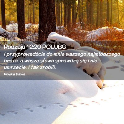 Picture 02 - Rodzaju 42:20 POLUBG - I przyprowadźcie do mnie waszego najmłodszego - Bible Verse Picture