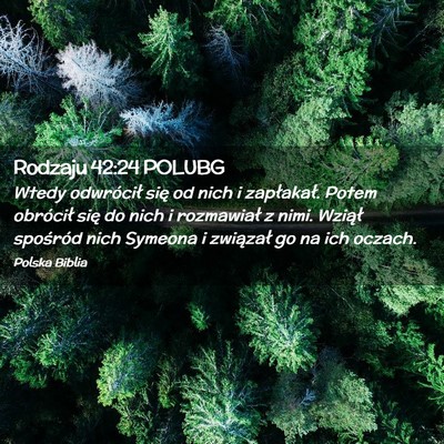 Picture 02 - Rodzaju 42:24 POLUBG - Wtedy odwrócił się od nich i zapłakał. Potem - Bible Verse Picture