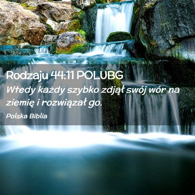 Picture 02 - Rodzaju 44:11 POLUBG - Wtedy każdy szybko zdjął swój wór na ziemię - Bible Verse Picture