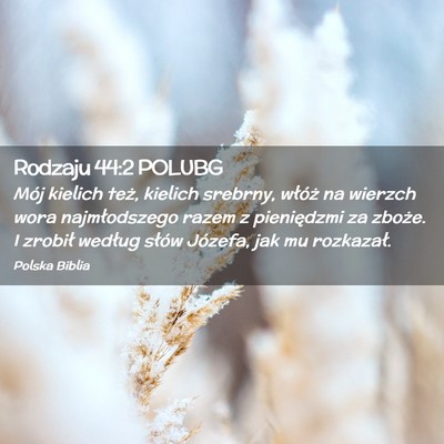 Picture 02 - Rodzaju 44:2 POLUBG - Mój kielich też, kielich srebrny, włóż na - Bible Verse Picture