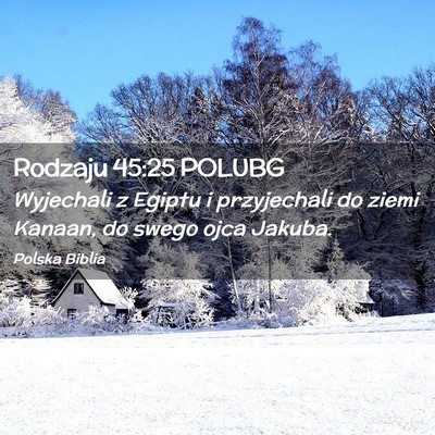 Picture 02 - Rodzaju 45:25 POLUBG - Wyjechali z Egiptu i przyjechali do ziemi Kanaan, - Bible Verse Picture