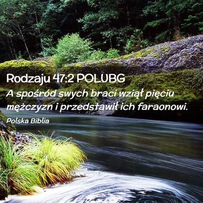 Picture 02 - Rodzaju 47:2 POLUBG - A spośród swych braci wziął pięciu - Bible Verse Picture