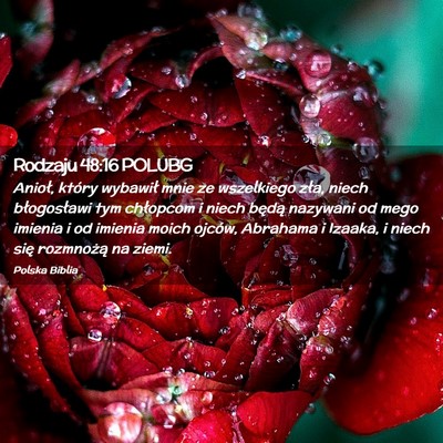 Picture 02 - Rodzaju 48:16 POLUBG - Anioł, który wybawił mnie ze wszelkiego zła, - Bible Verse Picture