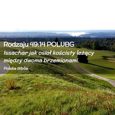 Picture 02 - Rodzaju 49:14 POLUBG - Issachar jak osioł kościsty leżący między - Bible Verse Picture