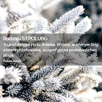 Picture 02 - Rodzaju 5:1 POLUBG - To jest księga rodu Adama. W dniu, w którym - Bible Verse Picture