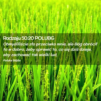 Picture 02 - Rodzaju 50:20 POLUBG - Obmyśliliście zło przeciwko mnie, ale Bóg - Bible Verse Picture